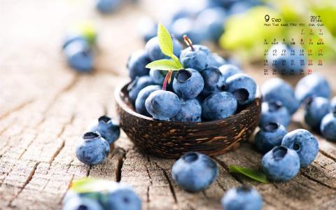 甜美水果蓝莓高清桌面壁纸第5张