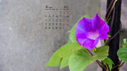 图片 _ 第(3)张