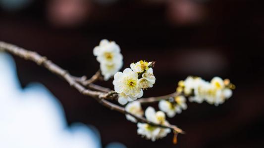 图片 _ 第(3)张