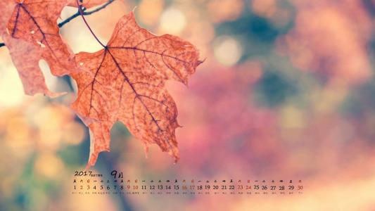 2017年9月秋季渐黄的树叶摄影高清日历壁纸第4张