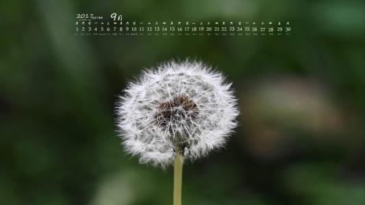 第3张