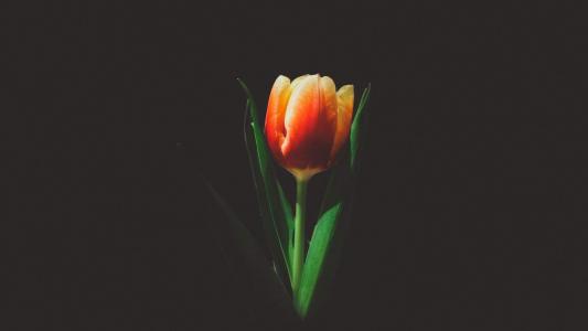 图片 _ 第(5)张