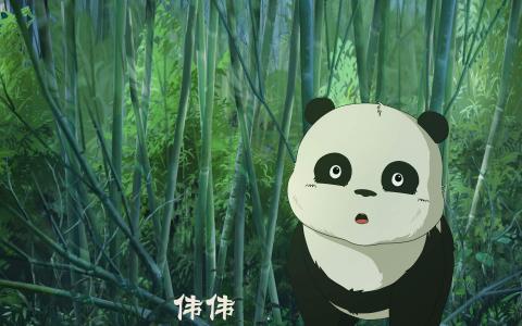 熊猫图片 _ 第(13)张