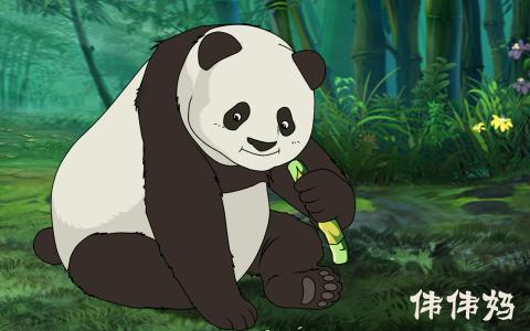 熊猫图片 _ 第(17)张