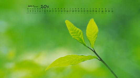 2017年10月护眼绿色植物树叶摄影高清日历壁纸第4张