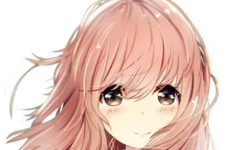 《海贼王》动漫人物高清手机壁纸第1张