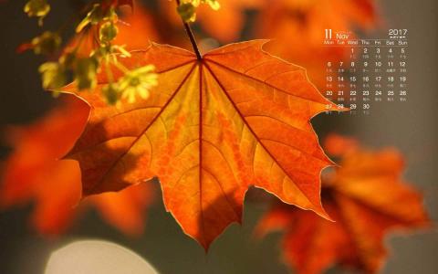 2017年11月秋天树叶唯美风景日历图片壁纸第3张