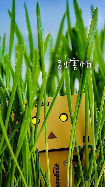 可爱纸盒人阿楞励志文字语句创意手机壁纸第3张
