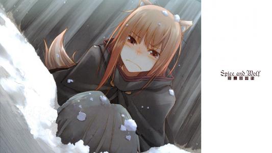 狼图片第6张