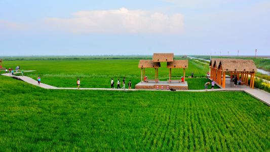 图片 _ 第(5)张