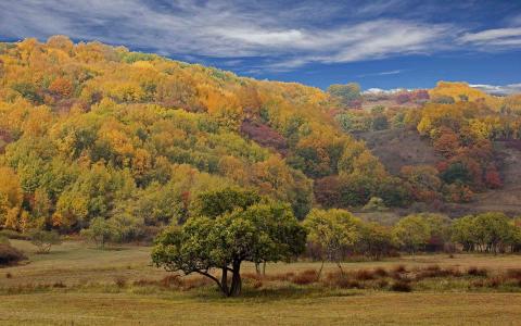 优美风景图片 _ 第(8)张
