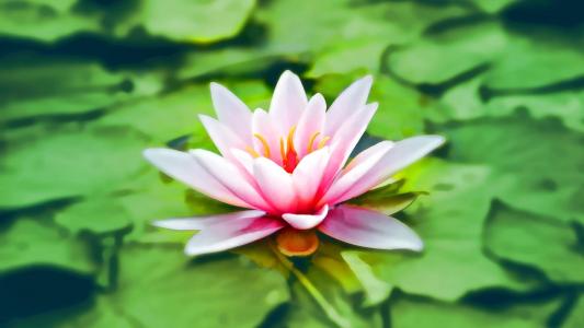 图片 _ 第(1)张