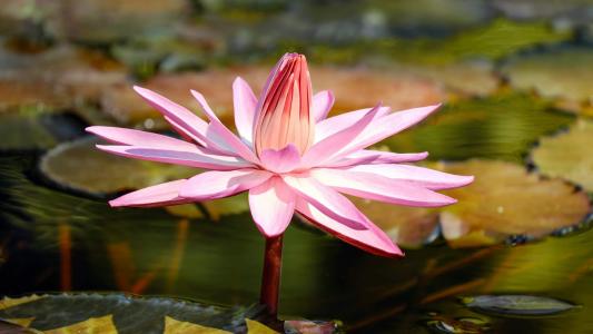 图片 _ 第(3)张