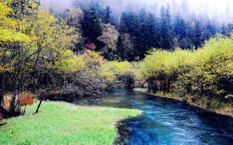 高清美景九寨沟唯美自然风景手机壁纸第4张
