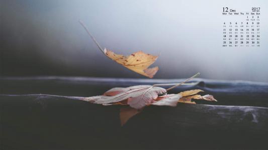 第2张