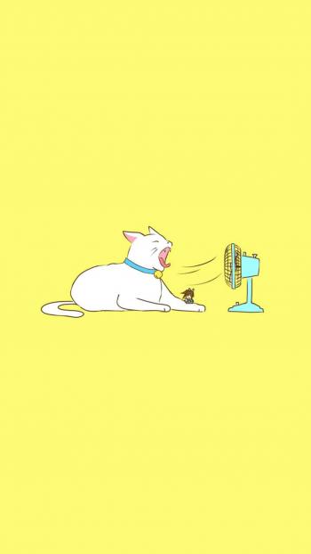 小猫图片 _ 第(1)张