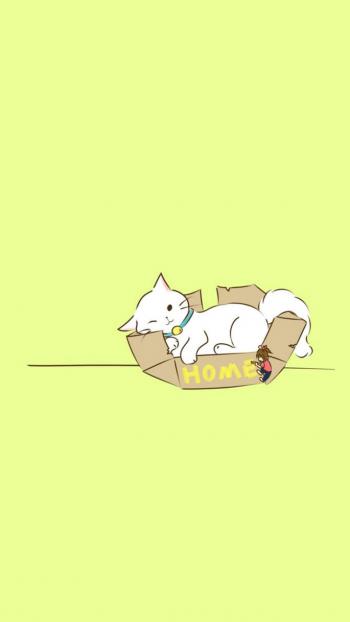 小猫图片 _ 第(3)张
