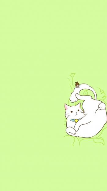小猫图片 _ 第(5)张