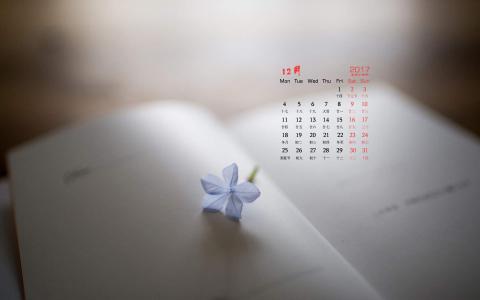 第2张