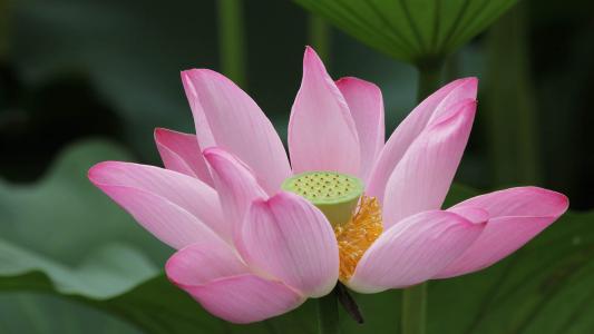图片 _ 第(1)张