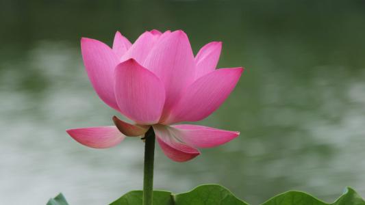 图片 _ 第(2)张