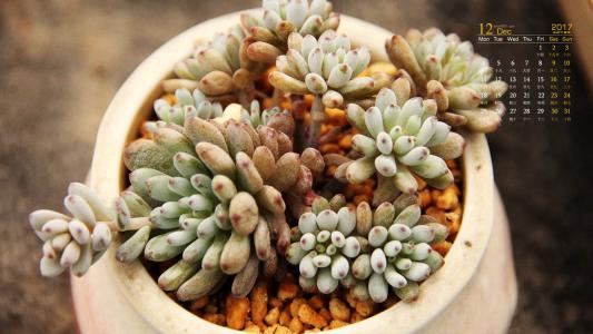 图片 _ 第(6)张