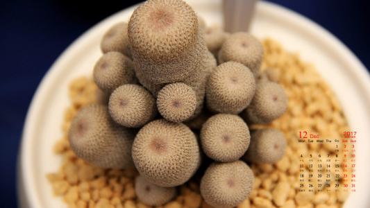 图片 _ 第(7)张