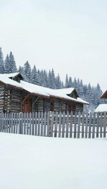 冬日雪景图片 _ 第(3)张