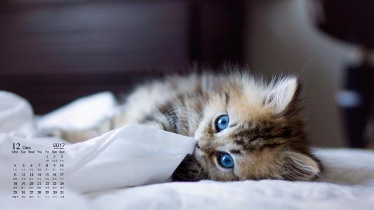 90后性感小猫咪写真第3张