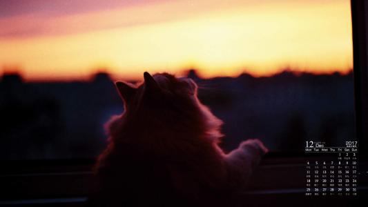 90后性感小猫咪写真第4张
