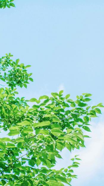 护眼图片 _ 第(8)张