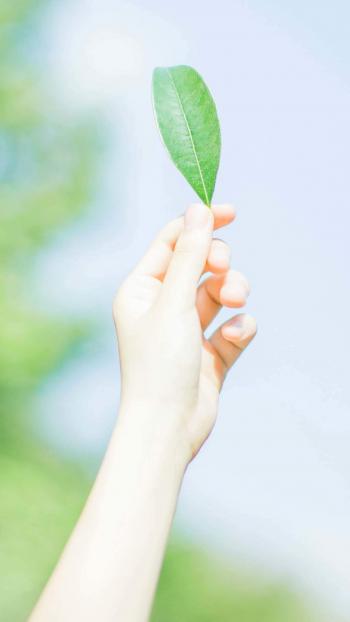 护眼图片 _ 第(9)张