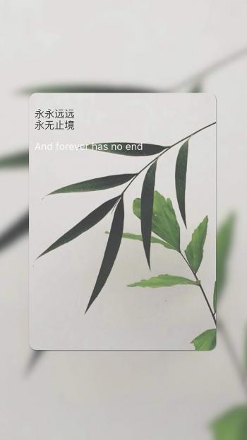 紫色的唯美风景非主流图片手机壁纸第1张