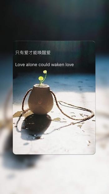 紫色的唯美风景非主流图片手机壁纸第5张
