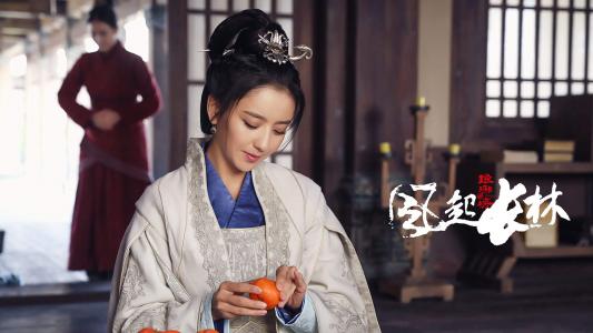 高清中国内地新疆伊犁影视女演员佟丽娅美艳性感高清桌面壁纸第3张