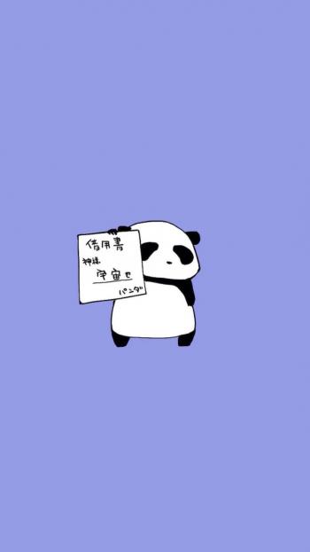 熊图片第6张