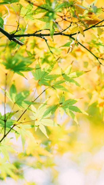 唯美风景图图片 _ 第(9)张