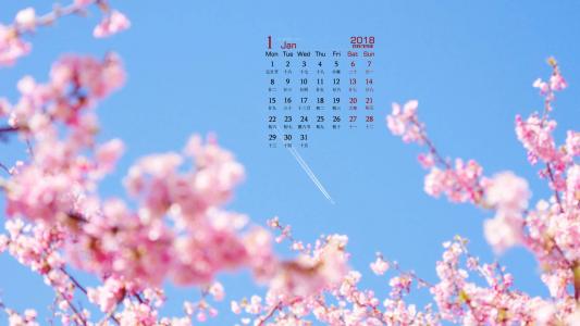 樱花图片图片 _ 第(8)张