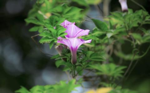 图片 _ 第(4)张