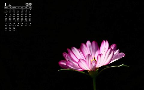 图片 _ 第(5)张