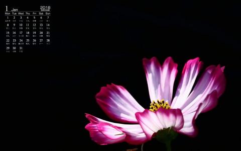 图片 _ 第(8)张