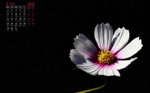 图片 _ 第(10)张