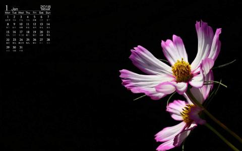 图片 _ 第(11)张
