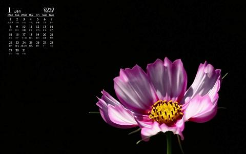 图片 _ 第(12)张