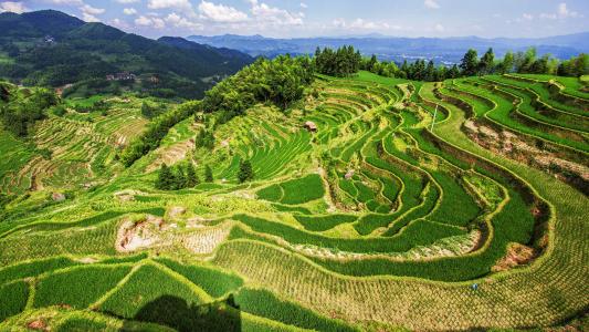 田园风光图片 _ 第(1)张