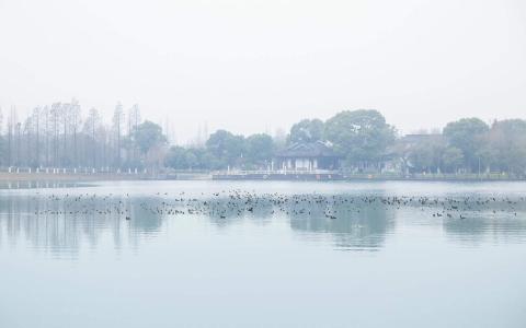 图片 _ 第(3)张