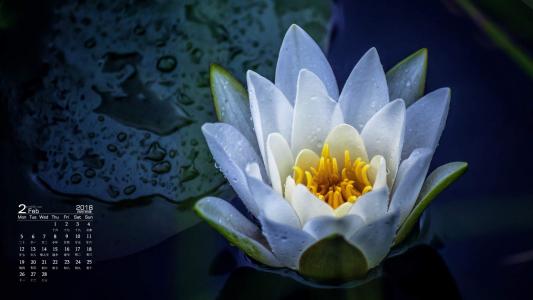 图片 _ 第(4)张