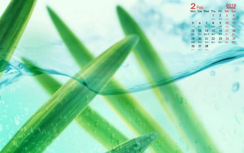2018年2月绿色叶子微距摄影图片日历壁纸第1张