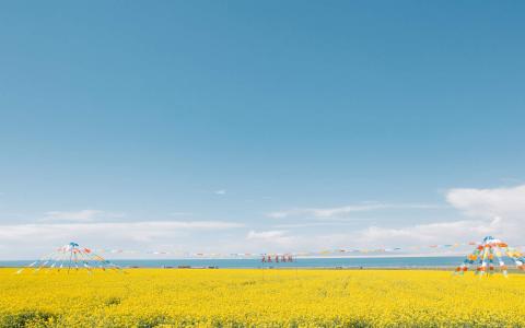 油菜花田园风景高清图片桌面壁纸第5张