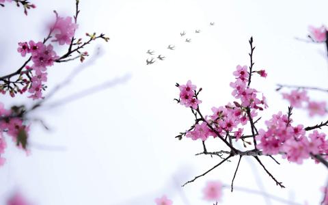 图片 _ 第(1)张